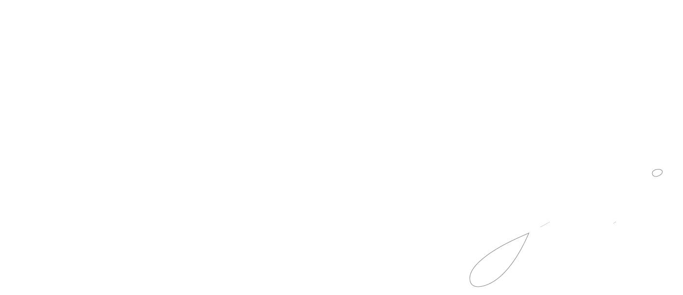 Caca Tomazzi